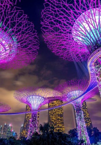 [fpdl.in]_singapore-feb-11-2017-singapore-cityscape-night-singapore_335224-659_medium
